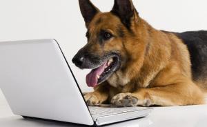 -dog-and-computer-dogs-15922-300x184